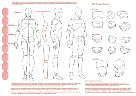 Mannequin break down Mannequin Drawing, Figure Construction, Back Drawing, Male Anatomy, Human Body Drawing, Perspective Drawing Lessons, Comic Tutorial, Sketch Poses, Human Anatomy Drawing