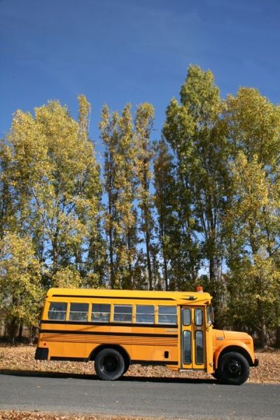 This is a 1979 GMC Blue Bird school bus that doubles as a vintage store and road-tripping DIY motorhome for British Columbia couple, Marco Khalil and Caroline West. Inside what seems to be an ordin… School Bus Camper, School Bus Tiny House, Backyard Cabin, Classroom Accessories, Old School Bus, Bus Living, Short Bus, School Bus Conversion, Bus House