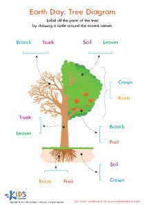 Parts of a Tree - Plant Worksheet #kids #preschool #kindergarten #kindergartenworksheets #preschoolworksheets #worksheets #printables #lettering #learning #tracing #tracingworksheets #handwriting #writing #coloring #subtraction #balancing #art #counting #practice #basic #academy #delight #cardinals #directions #festive #bring #spring Herbs Shrubs And Trees Worksheet, Parts Of A Tree Anchor Chart, Oxford Reading Tree Worksheets, Deciduous Trees Kindergarten, Identify Trees By Leaves, States Of Matter Worksheet, Plants Worksheets, Matter Worksheets, Tree Diagram