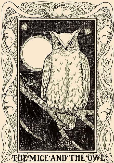 Owl Illustration, Owl Collection, Drawing Examples, Gustave Dore, Owls Drawing, Japon Illustration, Owl Bird, Ink Drawing Illustration, Vintage Owl