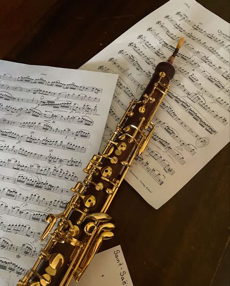 Oboe Aesthetic, Musician Photography, Instruments Art, Brass Instruments, Woodwind Instruments, Band Geek, Music Collage, Music Motivation, Music Student