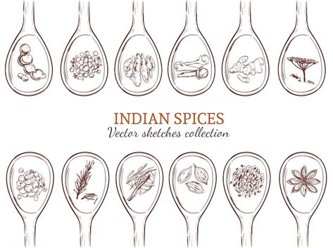 Traditional Indian Food, Herb Labels, Saffron Flower, Logo Hipster, Spice Set, Crocus Flower, Spice Shop, White Sunflowers, Abstract Hand