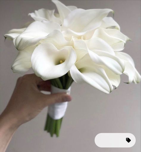 Bouquet Wedding Simple, Brides Flowers Bouquet, Simple Wedding Bouquets, Wedding Simple, Wedding Bouquets Bride, Bridal Bouquet Flowers, White Bridal Bouquet, Hand Bouquet, Bride Flowers