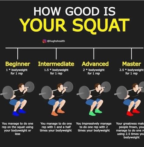 Squats Exercise, Exercises With Weights, Squat Exercises, Squats Workout, Lower Body Strength, Functional Movement, Bodybuilding Workout Plan, Leg Workouts, Leg Exercises