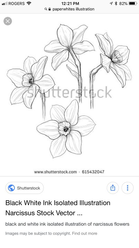 White Narcissus Tattoo, Narcissus Paperwhite Tattoo, Paperwhites Tattoo, Paperwhite Tattoo, Paperwhite Flower Tattoo, Paperwhite Narcissus Tattoo, Paperwhite Flowers, Narcissus Tattoo, Narcissus Flower Tattoos