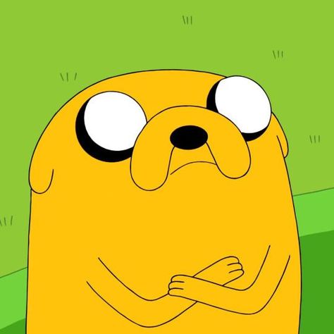 Jake Adventure Time Pfp, Jake The Dog Pfp, Fin E Jake, Pfp Bear, Aventura Time, Fin And Jack, Jake Pfp, Jake Dog, Dog Pfp