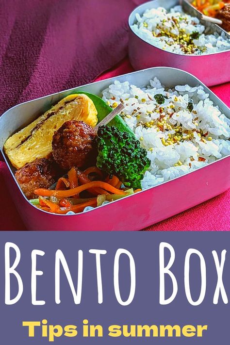 Bento Boxes Containers, Summer In Japan, Box Lunches, Japanese Bento Box, Bento Box Kids, Japanese Bento, Lunchbox Ideas, Bento Boxes, Japanese Cooking