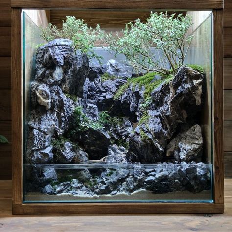 Project tittle : making forest river check out the full DIY video on my youtube channel on this link https://youtu.be/N2FBndlBisY #paludarium #diorama #terrarium #diy #arts & crafts #miniature model #aquarium #seiryu stone #Aquaterrarium #aquascape #diy waterfall #moss #bonsai #art & craft #planted aquarium#aquarium #mugenwoong Paludarium Waterfall Aquascaping, Waterfall Paludarium, Vivarium Waterfall, Paludarium Waterfall, Terrarium Waterfall, Aquascape Diy, Paludarium Ideas, Diorama Terrarium, Tropical Terrariums