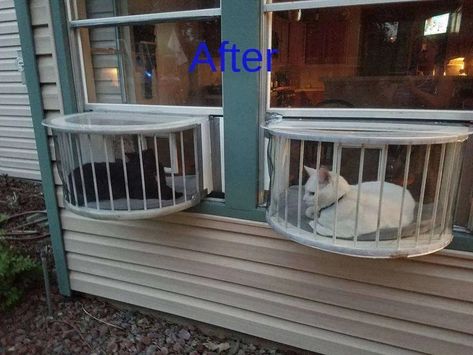 Check Out Photos From Cat Solarium Owners - Cat Solarium, The Cat Window Box, Catio, Cat Balcony Cat Conservatory, Cat Solarium, Katt Diy, Katt Grejer, Cat Patio, Outdoor Cat Enclosure, Cat Window, Cat Enclosure, Outdoor Cats