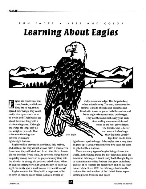 FUN FACTS KEEP & COLOR - Learning About Eagles June Celebrations, Color Learning, Learning Strategies, Art Class, Eagles, Fun Facts, Color, Art