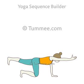 Balancing Table Pose Tummee Yoga, Inchworm Exercise, Yoga Sanskrit, Yoga Sequencing, Yoga Inversions, Yoga Flows, Restorative Yoga Poses, Bird Dog, Dog Poses