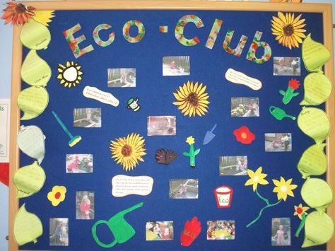 A beautiful idea from Christ Church School using our Sundeala Notice Board with Felt Backing. This Eco-Club display is backed with ouir blue felt and a pine frame. Eco Committee School, School Eco Club Ideas, Eco School Display, Eco Display School, Eco School Ideas, Pgce Primary, Eco Club Activities, Eco Activities, Forest Display