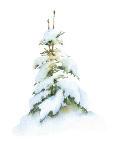 Snowy Pine Trees Study Easy How To Paint Watercolor Step By Step | The Art Sherpa | The Art Sherpa How To Paint Snow On Trees, How To Paint Watercolor Trees, Watercolor Tutorial Step By Step Videos, Winter Watercolor Paintings Easy, Winter Watercolor Simple, Watercolor Tutorial Step By Step, Watercolor Step By Step, Painting For Beginners Videos, Snowy Pine Trees