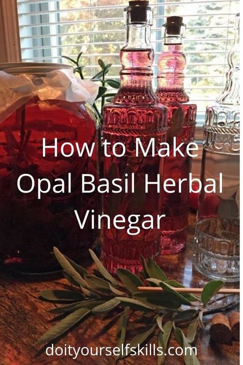 Purple Basil Recipe, Basil Vinegar, Salad With Olive Oil, Hawaiian Party Food, Herbal Vinegar, Basil Tea, Flavored Vinegars, Homestead Gardening, Aphrodisiac Foods