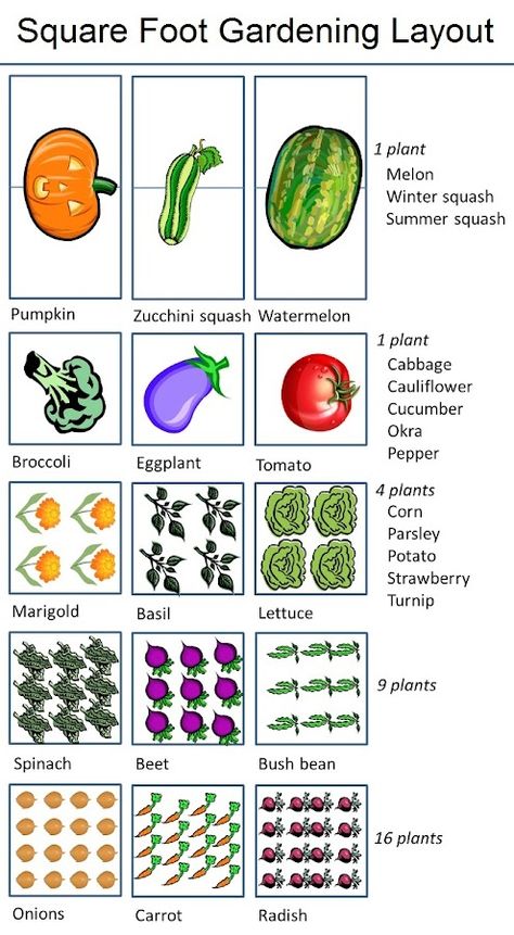 The ten basic tenets of square-foot gardening are:  1. Arrange your garden in squares, not rows. Lay it out in 4′x4′ planting areas.  2. Build boxes to hold a new soil mix above ground.  3. Space boxe Square Foot Gardening Plans, Gardening Layout, Square Foot Gardening Layout, Garden Layout Vegetable, Vegetable Garden Planning, Bush Beans, Corn Plant, Starting A Garden, Veg Garden