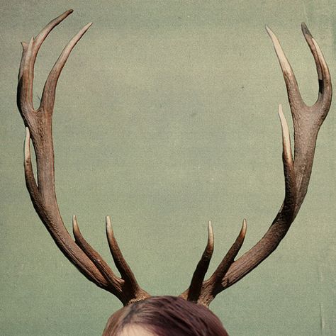 antlers Antler Aesthetic, Person With Antlers, Antlers Aesthetic, Deer Antler, The Ancient Magus Bride, Nbc Hannibal, Catty Noir, Vox Machina, Deer Antlers