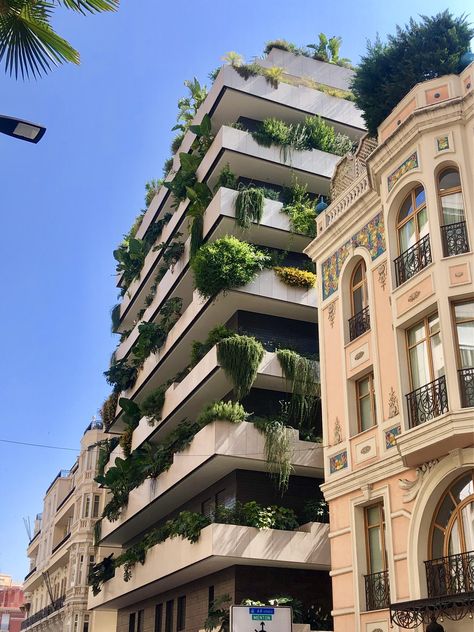 While were posting buildings with plants heres La Petite Afrique a luxury apartment complex in Monaco. Apartments In Monaco, Monaco Apartment Luxury, Monaco Apartment Aesthetic Interior, Monaco Apartment Interior, Italian Apartment Exterior, Monaco Apartment Aesthetic, Buildings With Plants, Apartment Complex Aesthetic, Seoul Apartment Luxury