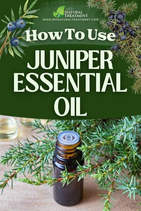 How to Use Juniper Essential Oil  #juniper #juniperberry #juniperberries #juniperuses #juniperremedy #juniperbenefits #junipercures #juniperremedies #juniperoil #essentialoil #juniperessentialoil #essentialoils Juniper Essential Oil Benefits, Juniper Berry Essential Oil Blends, Juniper Berry Essential Oil Benefits, Witchy Protection, Protection Plants, Juniper Flower, Homemade Oils, Homemade Extracts, Natural Medicine Recipes