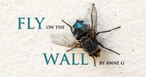 Fly on the Wall Bug Spray Recipe, Idea Generation, Wall Film, Fly On The Wall, Bug Spray, The Society, Beautiful Words, Matrix, The Wall