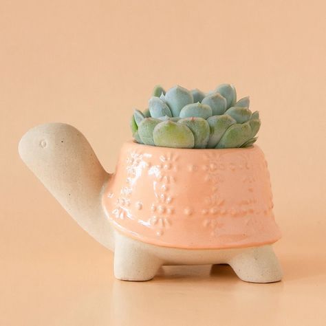 This adorable, ceramic turtle planter is sure to brighten your day! Cute Vases Ceramics, Clay Pot For Plants, Cacti Arrangement, Aesthetic Ceramics, Turtle Planter, Unglazed Pottery, Bedroom Board, Cactus Arrangement, Ceramic Pinch Pots