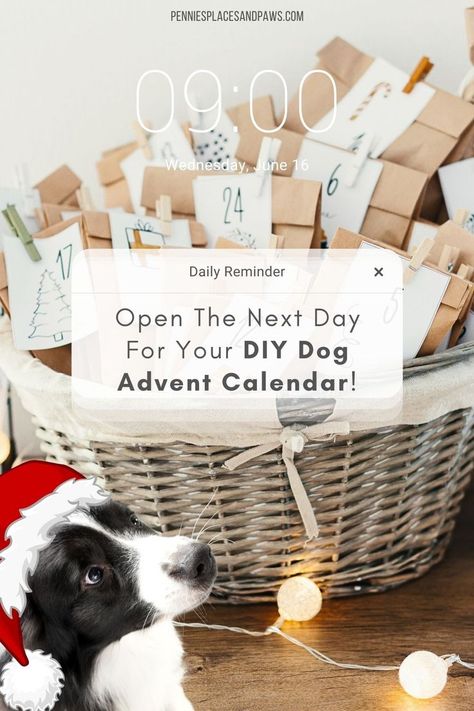 Doggie Advent Calendar, Homemade Dog Advent Calendar, Advent Calendar For Dog, Advent Calendar For Dogs Diy, Puppy Advent Calendar, Advent Calendar For Dogs, Dog Advent Calendar Diy, Diy Dog Advent Calendar, Diy Advent Calendar Fillers