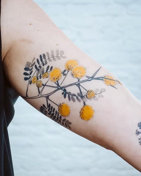 Acacia Tattoo, Botanisches Tattoo, Illustrative Tattoos, Female Tattoo Artist, Mimosa Flower, Owl Tattoo Design, Acacia Tree, Female Tattoo Artists, Blossom Tattoo