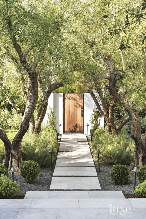 Grey limestone pavers, olive trees Modern Landscape Design, Have Inspiration, Mediterranean Garden, Yard Design, Design Exterior, Modern Landscaping, Landscape Lighting, Front Garden, Outdoor Design