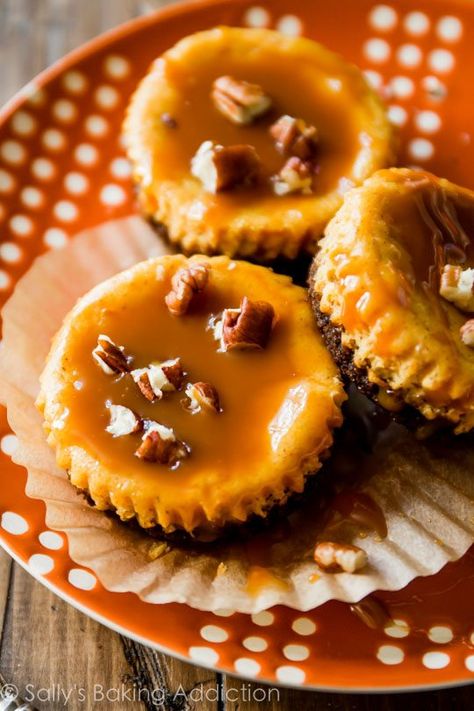 Salted caramel pumpkin cheesecakes made with a crunchy gingersnap cookie crust and baked in a muffin pan! Pumpkin Cheesecakes, Homemade Bakery, Mini Pumpkin Cheesecake, Sallys Baking, Caramel Pumpkin, Fall Recipes Pumpkin, Pumpkin Cheesecake Recipes, Chocolate Chip Cheesecake, Sally's Baking