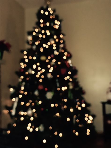 Blurry Christmas Tree Backgrounds, Blurry Christmas Tree, Blurred Christmas Tree, Christmas Tree Wallpaper, Christmas Tree Background, Christmas Wallpapers, Holiday Wallpaper, Christmas Wallpaper, Tis The Season