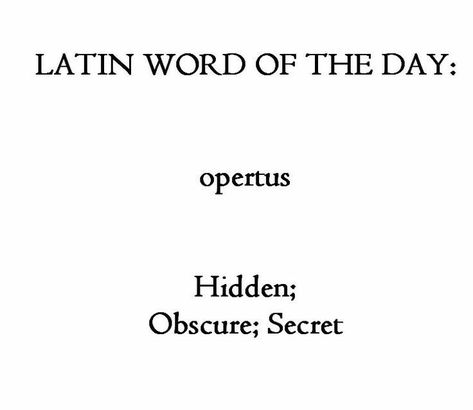 Learn Latin, Latin Quotes, Latin Language, Latin Phrases, Latin Word, Word Nerd, Unusual Words, History Education, Rare Words