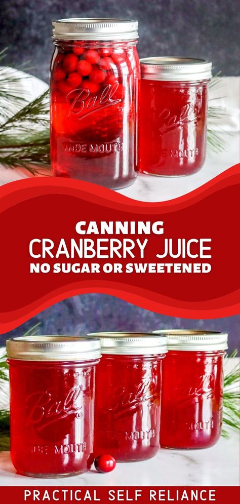 homemade canned cranberry juice in mason jars Healthy Canning Recipes Clean Eating, Unsweetened Cranberry Juice Recipes, Healthy Cranberry Juice Recipes, Canning Cranberries For Juice, Canning Cranberries Recipes, Sugar Free Cranberry Juice, Canning Beets Recipes Water Bath, Water Bath Canning Juice, Home Canned Cranberry Juice