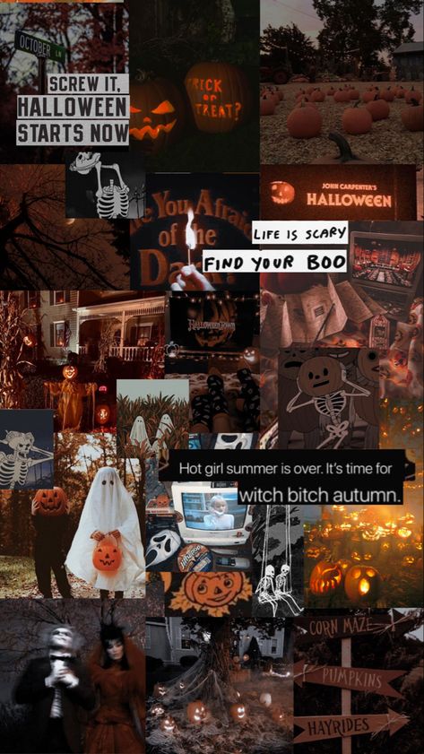 Halloween Aesthetic Phone Wallpaper, Spooky Wallpapers Iphone, Scary Halloween Aesthetic Wallpaper, Spooky Phone Aesthetic, Halloween Theme Wallpaper Aesthetic, Spooky Halloween Backgrounds Iphone, Horror Wallpaper Aesthetic Iphone, Halloween Collage Wallpaper Iphone, Halloween And Christmas Wallpaper