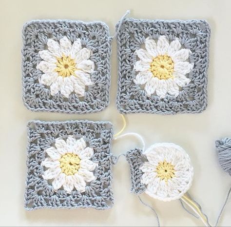 Pretty daisy squares Daisy Squares Crochet, Daisy Flower Granny Square Pattern, Crochet Daisy Motif, Crochet Daisy Granny Square Blanket, Granny Square Daisy Crochet Pattern, Daisy Square Crochet Pattern, Pretty Granny Squares, Daisy Crochet Granny Square, Daisy Square Crochet