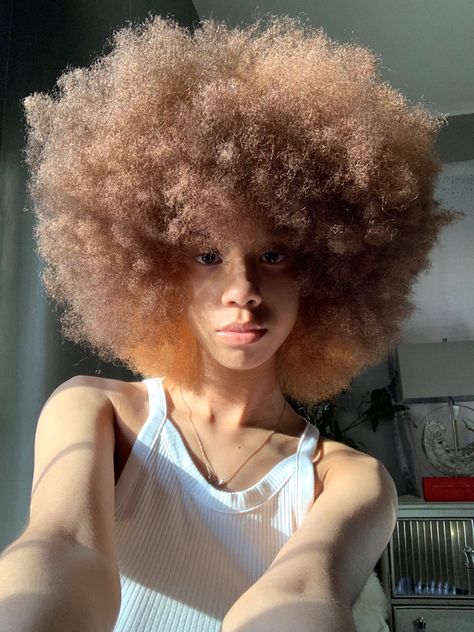 fro, 4c hair Hair Colors For 4c Hair, Blonde 4c Hair Natural, Honey Blonde Afro 4c, Died Afro, Brown 4c Hair Dye, Light Brown 4c Hair, Honey Blonde 4c Natural Hair, Afro Blonde Hair, 4c Blonde Hair