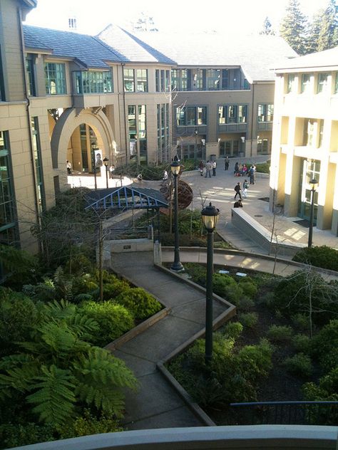 University of California - Berkeley, Haas School of Business. Photo:  Alan Cordova, via Flickr Berkeley Aesthetic, Berkley University, Berkeley University, Cal Berkeley, California School, Campus Design, Michael Graves, University Architecture, Berkeley California