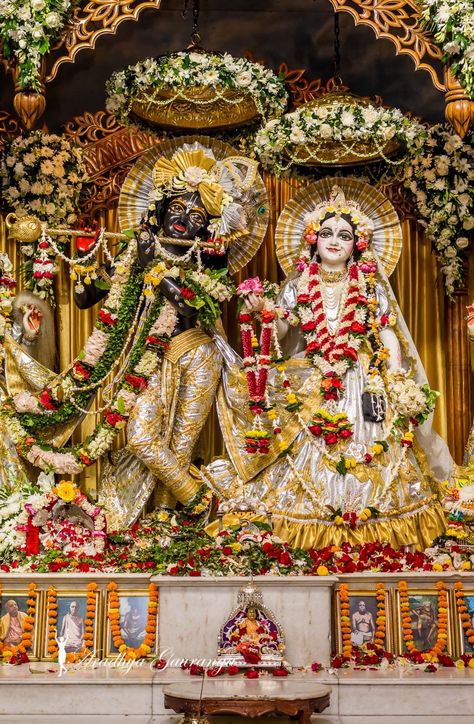 Radha Krishna Mayapur Wallpaper, Radha Krishna Mayapur, Radha Krishna Pictures Full Hd, Iskcon Krishna Wallpapers Hd, Wallpaper Of Lord Krishna, Mayapur Radha Krishna, Krishna Images Hd Wallpaper New, Radha Krishna Wallpaper Full Hd 4k, Radha Krishna Iskcon