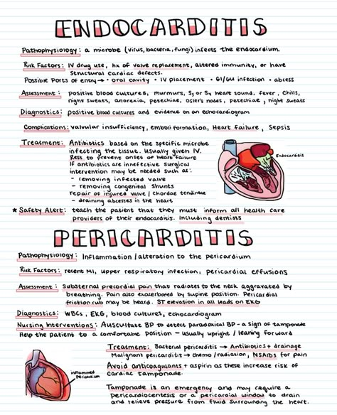 Become a supporter of Cece’s Study Guides today! ❤️ Ko-fi lets you support the creators you love with no fees on donations. Cardiac Nursing Cheat Sheets, Nursing School Notes Study Guides, Adn Nursing, Nursing Fundamentals, Nursing School Studying Cheat Sheets, Emt Study, Nurse Notes, Nursing School Inspiration, Medical Assistant Student