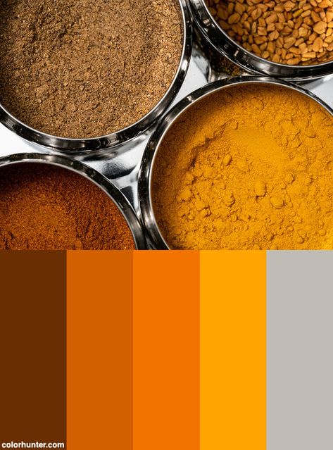 Indian Spices Color Scheme from colorhunter.com India Color Palettes, Indian Colors Palette, Traditional Indian Colour Palette, Spices Color Palette, India Color Palette, Indian Color Palette, Indian Colour Palette, Indian Branding, Tamil History