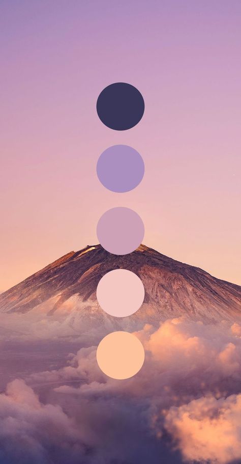 Violet Color Palette, Art Nouveau Graphic Design, Colors Moodboard, Color Branding, Brand Colour Schemes, Sunset Color Palette, Purple Palette, Website Color Palette, Style Tips And Tricks