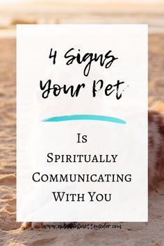 Pet Remembrance Ideas, Dog Prayer, Dog Communication, Best Friend Relationship, Miss My Dog, Pet Quotes, Animal Communication, Spirit Communication, Cat Loss