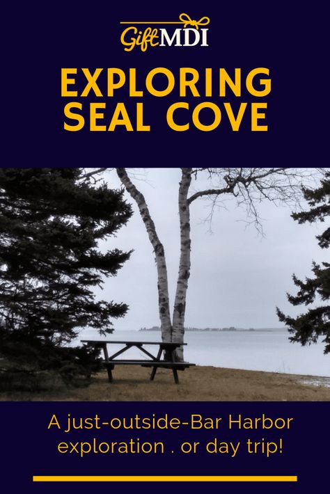 What is the Algerine Coast? Check out our Seal Cove history which is a great day trip from Bar Harbor! #barharbor #northeastharbor #southwestharbor #mdi #mountdesertisland #maine #sealcove #daytrip Seal Cove Maine, Outside Bars, Mount Desert Island, Desert Island, Place Names, Beautiful Places In The World, Most Beautiful Places, East Coast, Day Trip