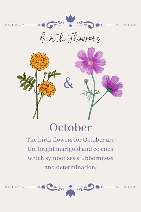 Birth Flower Of October, Oct Flower Tattoo, Flower For October Birth Tattoo, Marigold Tattoo Meaning, Birth Month Flower October, Cosmo Marigold Flower Tattoo, Flowers And What They Symbolize, October November Birth Flower Tattoo, October Flower Tattoo Cosmos