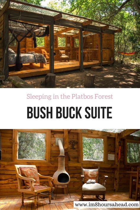 Sleeping in the Platbos Forest Bush Buck Suite Bush Cabin, Bush Retreat Home, Bush Lodge Design, Forest Airbnb, Run Down Cabin In The Woods, Hotel Sweet, Bush Lodge, Lodge Room, Little Cabin