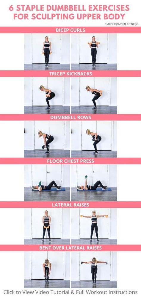 Upper Body Workout for Women Upper Body Weight Workout, Weight Lifting At Home, Weightlifting For Beginners, Upper Body Workout Gym, Upper Body Strength Workout, Upper Body Dumbbell Workout, Upper Body Workout Routine, Weights Workout For Women, Body Workout Routine