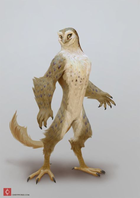 Bird People, Color Test, Snowy Owl, Exotic Pets, Creature Design, Creature Art, Pretty Art, Fantasy Creatures, Character Design Inspiration