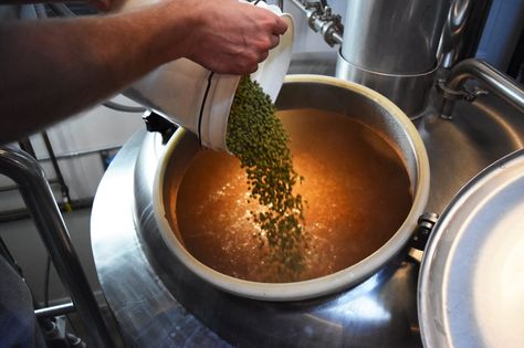 Brewery Photography, Beer Brewing Process, Beer Shot, Brew Master, Beer Photography, Beer Photos, Beer Making, Brewing Beer, Brewing Process