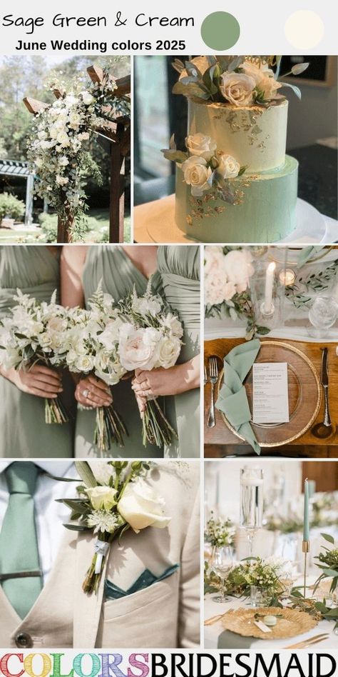 sage green and cream for june wedding color palettes for 2025, sage green bridesmaid dresses, white bridal gown, beige bridegroom suit and sage green tie, cream floral and greenery boutonniere, bouquets, centerpieces, wedding arch decor and wedding cake decor, sage green and cream wedding cake, sage green wedding napkins. #weddingcolors #weddingideas #juneweddings #summerweddings #colsbm #2025 #bridesmaiddresses #greenwedding #sagegreenwedding #sagegreenandcream Sage Green And Cream Wedding, June Wedding Colors, Sage Green Wedding Theme, Wedding Color Schemes Summer, Sage Green Wedding Colors, Sage Green And Cream, Wedding Color Palette Summer, Dark Green Wedding, Wedding Color Combinations