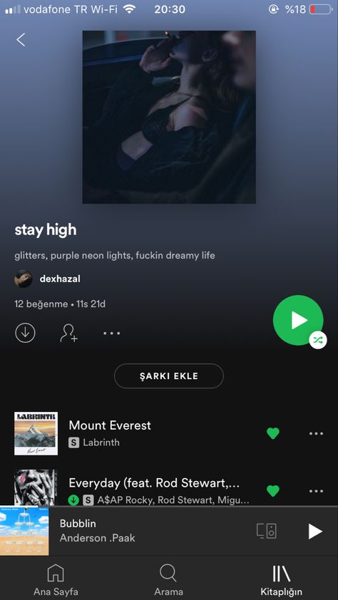 Getting High Spotify Playlist, Getting High Playlist, High Playlist, Euphoria Playlist, Workout Playlist Spotify, Euphoria Birthday, Fitness Programs For Women, Playlist Vibes, Playlists Ideas