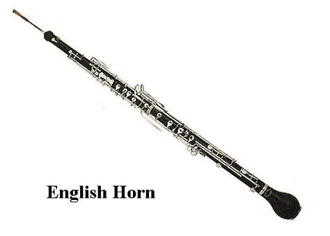 English horn: the alto voice in the double-reed family of woodwinds (NOT an oboe laying an egg.) French Horn Illustration, Alto Voice, Great Owl Horned, Baritone Horn, English Horn, Woodwind Instrument, Oboe, Trombone, Music Stuff