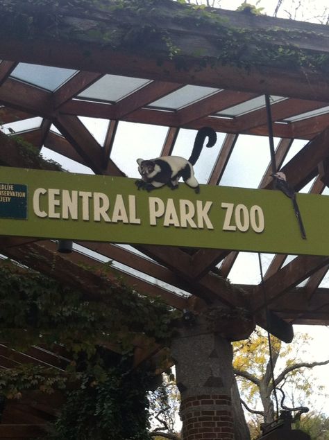 We Bought A Zoo Aesthetic, Central Park Zoo Aesthetic, New York Zoo, Central Park Zoo, Bronx Zoo New York, Planet Zoo Backstage, Holidays In New York, Zoo York, Zoo Keeper